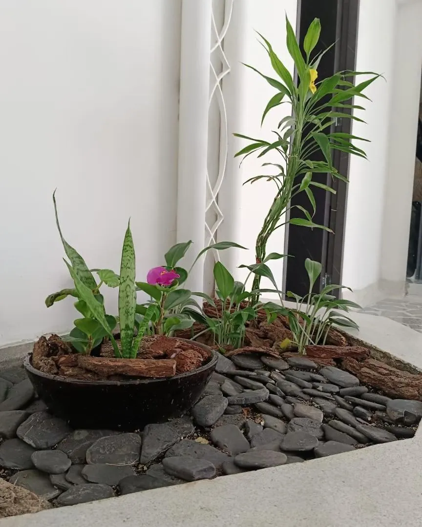 Apartamento 101 Apartaestudio Cerca Al Estadio -Boulevar De La 70 Medellín Colombia